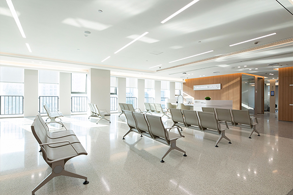 角膜及眼表?？?><p class=